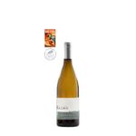 du TEMPS au TEMPS Bergerac Blanc sec